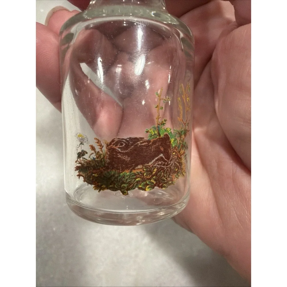 Pijacky Set Of 2 Vintage Shot Glasses With Wildlife Scene